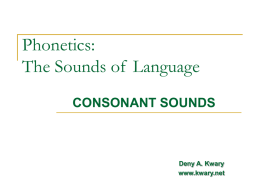PHONETICS: Consonants