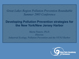 Pollution Prevention and Management Strategies for Mercury