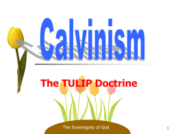Calvinism - RailroadAvecofc