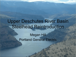 Deschutes River Steelhead Reintroduction