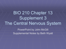 Chapter 13 Supplement 3 The Central Nervous System