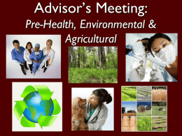Preliminary Advising Session