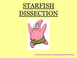 STARFISH DISSECTION - Henry County Public Schools