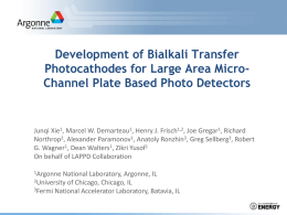 Development of Bialkali Transfer Photocathodes for Large