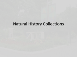 Collections - Susquehanna University