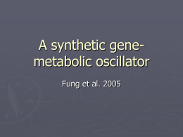 A synthetic gene-metabolic oscillator