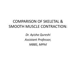 COMPARISON OF SKELETAL & SMOOTH MUSCLE CONTRACTION: