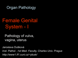 Female genital I
