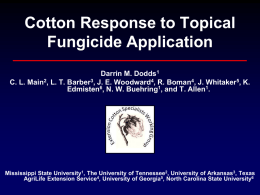 Cotton Response to Topical Fungicide Application