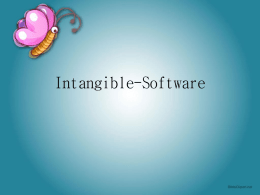 Intangible/Software
