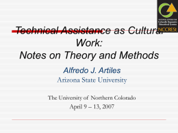 Technical assistance as mediating structure: A cultural