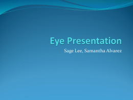 Eye Presentation - Downey Unified School District
