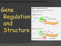 Biology 10.2 Gene Regulation and Structure