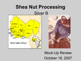 Shea Nut Processing in Rural Ghana