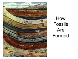 How Fossils Are Formed - Silver Falls School District