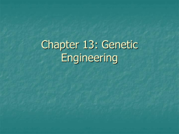 Chapter 13: Genetic Engineering
