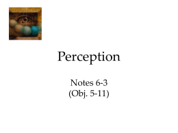 Perception Notes 6-3 (Obj. 5-11)