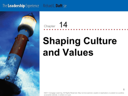 Shaping Culture and Values