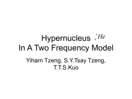 The Hypernucleus - IFT