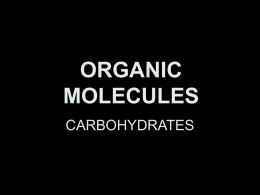 ORGANIC MOLECULES