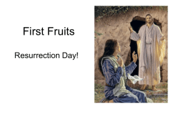 First Fruits - Beth Yeshua Messianic Fellowship, Priest