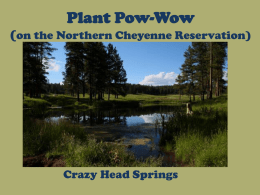 Plant Pow-Wow (on the Northern Cheyenne Reservation)