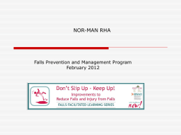 Manitoba Falls Prevention Strategy & Framework July 2006