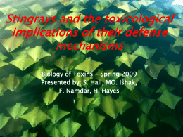Stingrays and the toxological implications of their