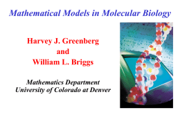 Mathematical Models in Molecular Biology