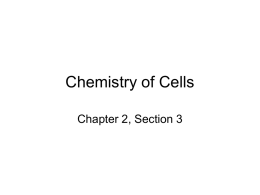 Chemistry of Cells - Marengo Community High School