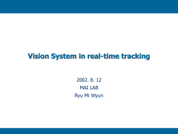 Vision System in real-time tracking