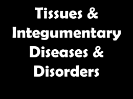 Tissues & Integumentary Diseases & Disorders