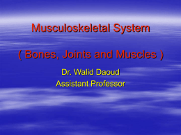 Musculoskeletal System ( Bones, Joints and Muscles )