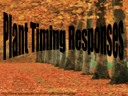Plant Timing Responses