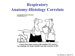 Respiratory Anatomy-Histology Correlate