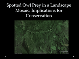 Spotted Owl Prey in a Landscape Mosaic: Implications for