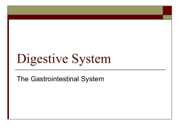 Digestive System - Petal School District