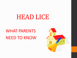 HEAD LICE - Madison Public Schools
