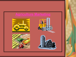 Agriculture Sector in Pakistan
