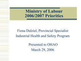 Ministry of Labour Priorities 2006/2007