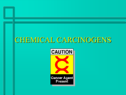 CHEMICAL CARCINOGENS