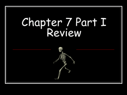 Chapter 7 Part I Review