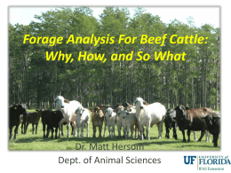 Forage Testing For Beef Cattle: Why, What, How