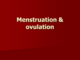 Menstruation & ovulation