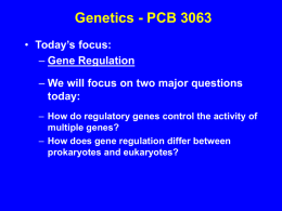 Genetics - PCB 3063