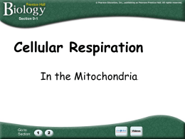 Prentice Hall Biology