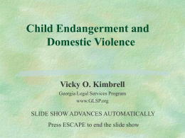Domestic Violence and Child Endangerment