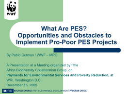 PES: Basic Concepts and Outstanding Issues. A WWF Perspective