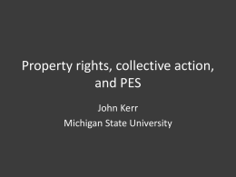 PES and property rights