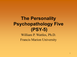The Personality Psychopathology Five (PSY-5)